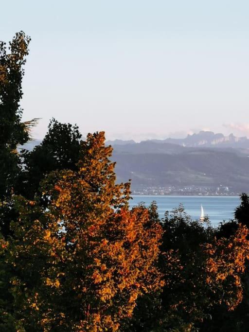Wohnen Direkt Am Uferpark Mit Grossem Balkon Und Seeblick FDH Exteriér fotografie